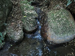  reabertura de trilha na serra do lopo