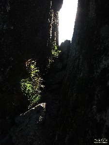  reabertura de trilha na serra do lopo