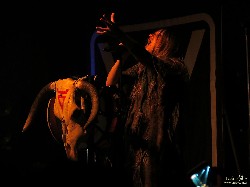  folk festival ii - tyr e arkona